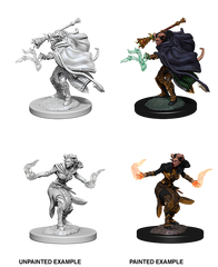D&D Nolzurs Marvelous Unpainted Miniatures Female Tiefling Warlock