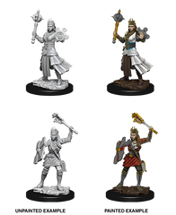 D&D Nolzurs Marvelous Unpainted Miniatures Female Human Cleric
