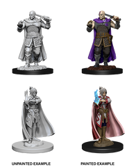 D&D Nolzurs Marvelous Unpainted Miniatures Human Ranger & Moon Elf Sorcerer