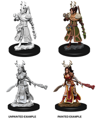 D&D Nolzurs Marvelous Unpainted Miniatures Female Human Druid