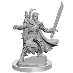D&D Frameworks Half-Elf Ranger Male