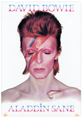 Tin Sign David Bowie