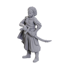 PREORDER D&D Nolzur's Marvelous Miniatures: Ansalon Human Rogue