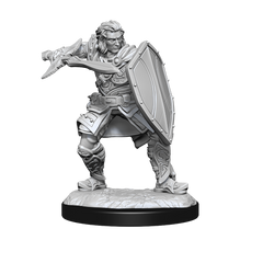 D&D Nolzurs Marvelous Unpainted Miniatures Human Paladin Male