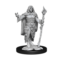 D&D Nolzurs Marvelous Unpainted Miniatures Human Druid Male