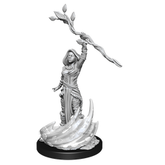 D&D Nolzurs Marvelous Unpainted Miniatures Human Druid Female