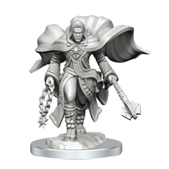D&D Nolzurs Marvelous Unpainted Miniatures Aasimar Cleric Male