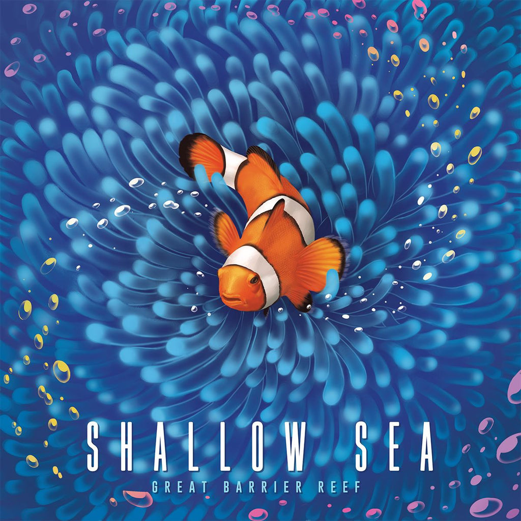 PREORDER Shallow Sea