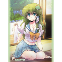Touhou Sleeves - Vol. 41