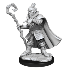 Critical Role Unpainted Miniatures Hobgoblin Wizard and Druid Male