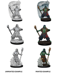 D&D Nolzurs Marvelous Unpainted Miniatures Water Genasi Male Druid
