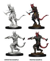 D&D Nolzurs Marvelous Unpainted Miniatures Tiefling Male Rogue