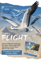 PREORDER Nature - Module 1 - Flight