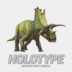 Holotype -  Mesozoic North America