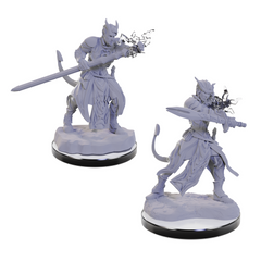 PREORDER D&D Nolzur's Marvelous Miniatures: Tiefling Warlocks