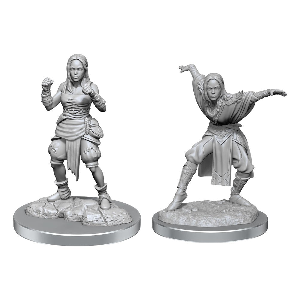 PREORDER Pathfinder Deep Cuts: Half-Elf Monk Female