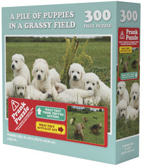 Doing Things Puppies Prank Puzzle 300 pieces