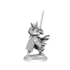 D&D Frameworks Dragonborn Paladin Male