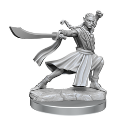 D&D Frameworks Elf Monk Male