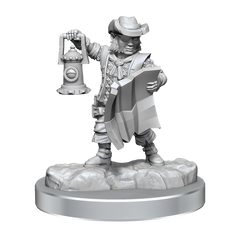 D&D Frameworks Halfling Rogue Male