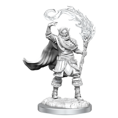 D&D Nolzurs Marvelous Unpainted Miniatures Elf Cleric Male