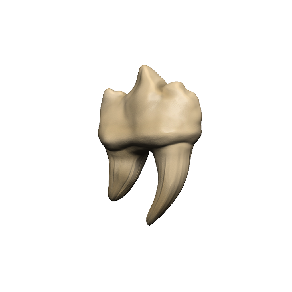 LC D&D Teeth of Dahlver-Nar Bite-Sized Artifact