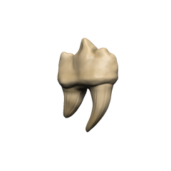 D&D Teeth of Dahlver-Nar Bite-Sized Artifact