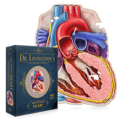 Dr. Livingstons Anatomy Jigsaw Puzzle: The Human Heart