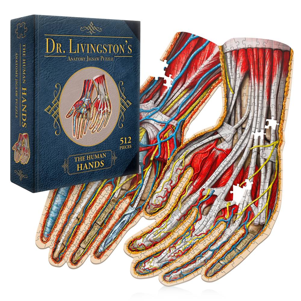 Dr. Livingstons Anatomy Jigsaw Puzzle: The Human Hands