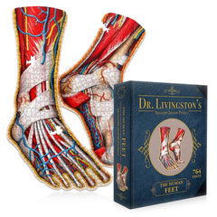 Dr. Livingstons Anatomy Jigsaw Puzzle: The Human Feet