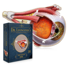 Dr. Livingstons Anatomy Jigsaw Puzzle: The Human Eye