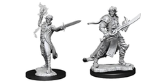 Pathfinder Miniatures