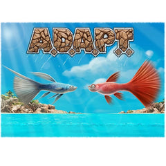 ADAPT Board Game