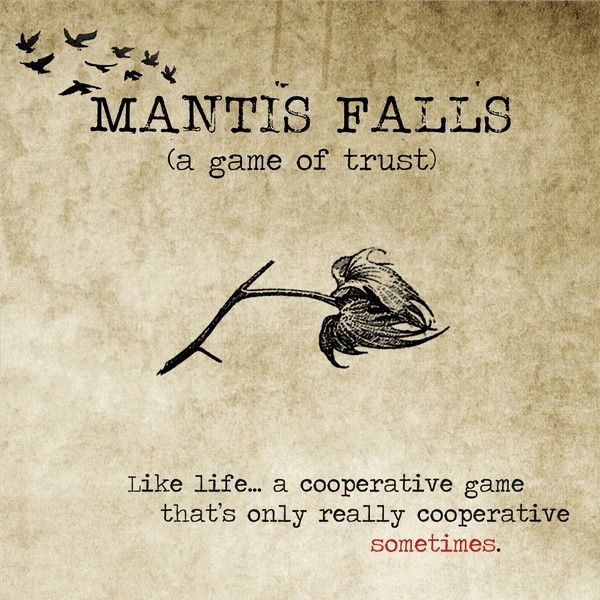 Mantis Falls: A Game of Trust Board Game