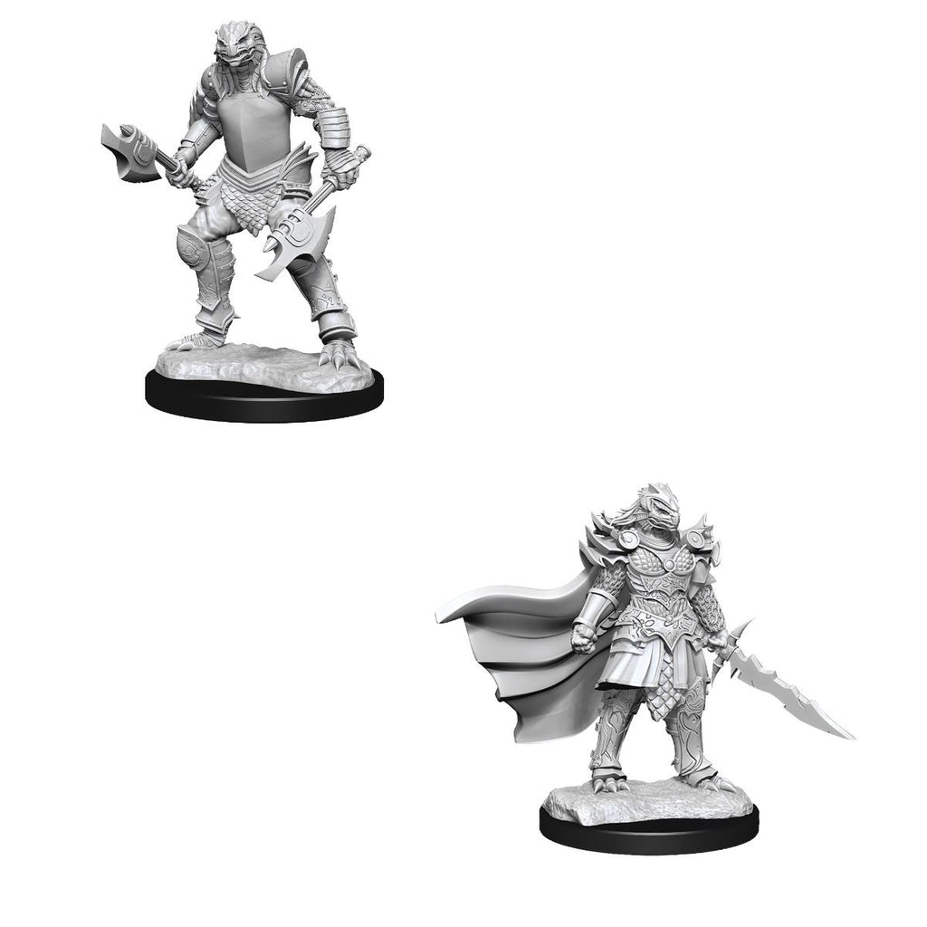 D&D Nolzurs Marvelous Unpainted Miniatures Dragonborn Fighter Female