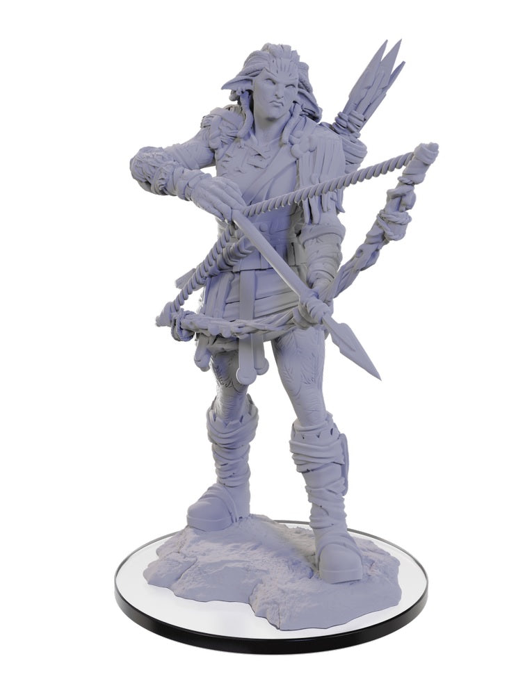 PREORDER Pathfinder Deep Cuts Miniatures: Wood Giant